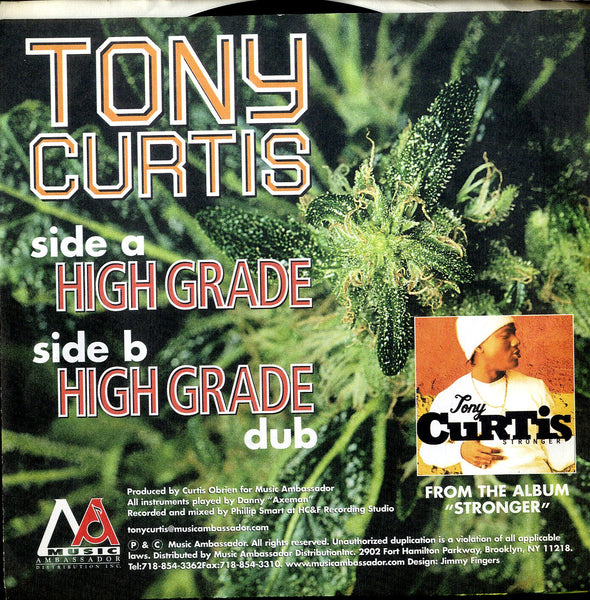 TONY CURTIS [High Grade]