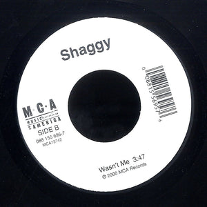 SHAGGY FEAT.  RICARDO DUCENT [It Wasn't Me / Dance And Shout]