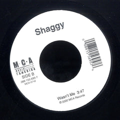 SHAGGY FEAT.  RICARDO DUCENT [It Wasn't Me / Dance And Shout]