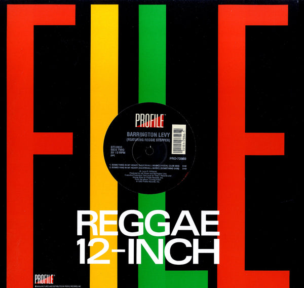 BARRINGTON LEVY & REGGIE STEPPER [Don't Throw It All Away / Something In My Heart (Dancehall Music)]