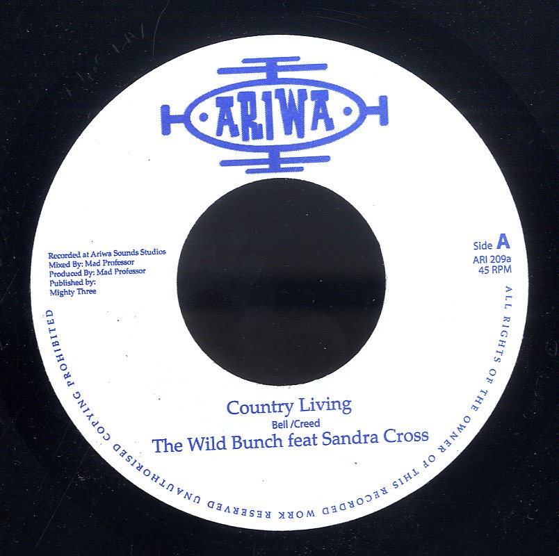 THE WILD BUNCH feat SANDRA CROSS‼️ - 洋楽