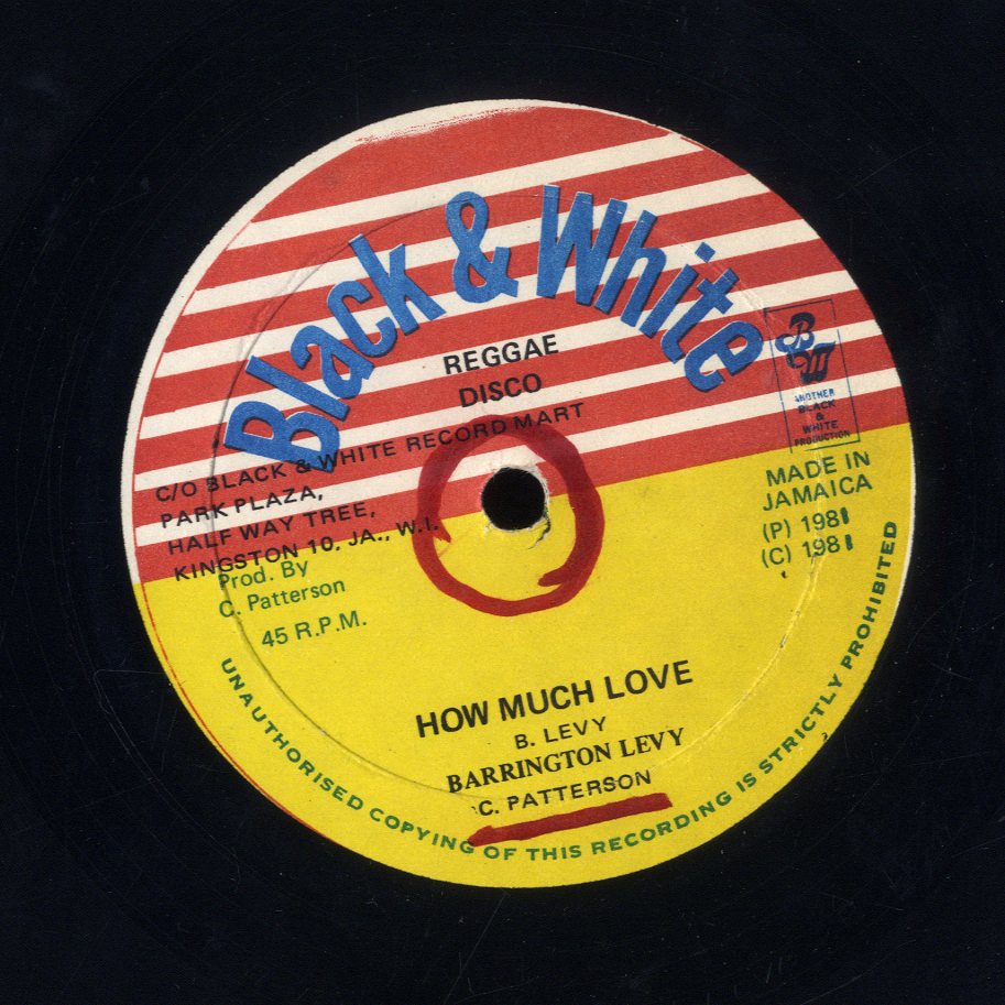 BARRINGTON LEVY / JOHNNY OSBOURNE & RINGO [How Much Love / Turn Me On]