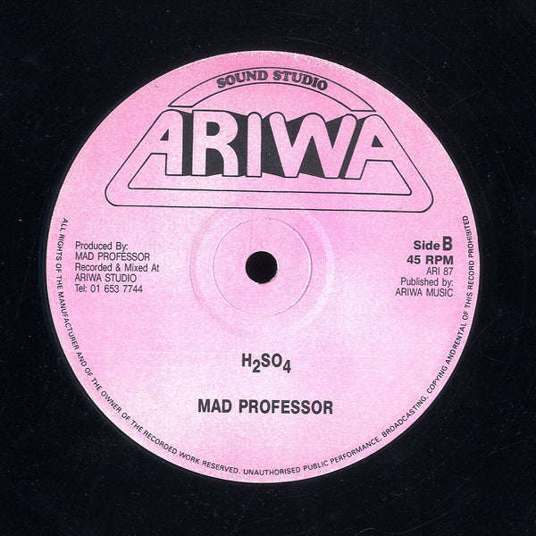 SANDRA CROSS / MAD PROFESSOR [Take Your Time / H2so4]