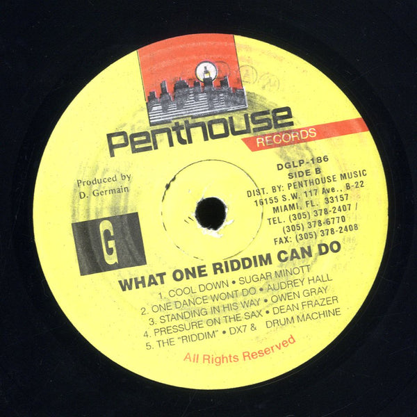 V.A. (TENOR SAW, AUDREY HALL, JOHNNY OSBOURNE....) [What One 'Riddim' Can Do]