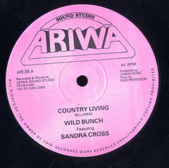 SANDRA CROSS / MAD PROFESSOR & THE ROBOTICS [Country Living / Devil's Play Ground]
