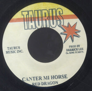 RED DRAGON [Canter Mi Horse]