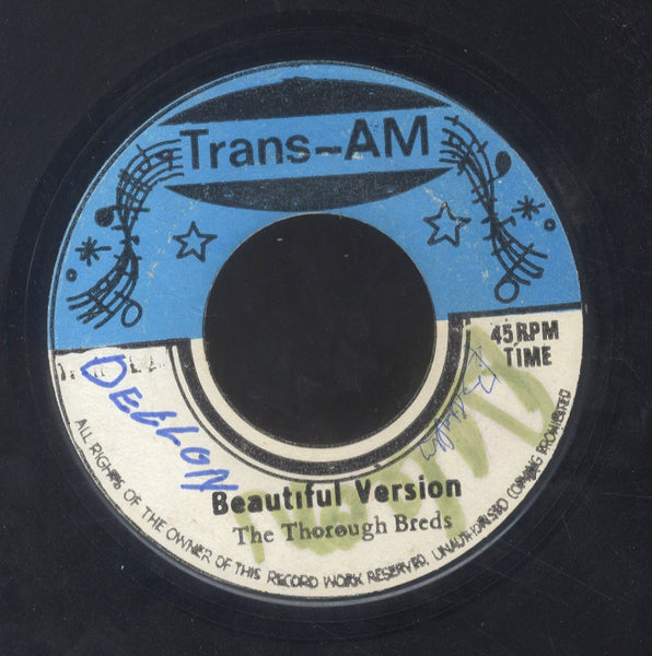 TEDDY MAGNUS [Beautiful Day]