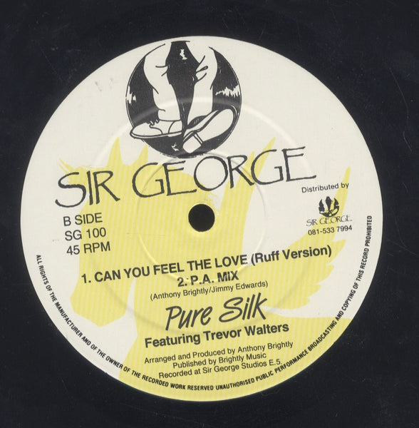 PURE SILK FEAT. TREVOR WALTERS [Can You Feel The Love]