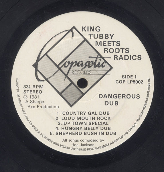 KING TUBBY MEETS ROOTS RADICS [Dangerous Dub]