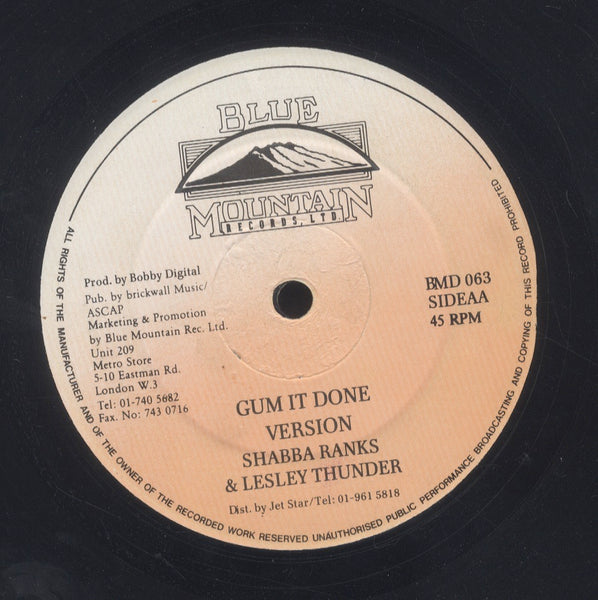 BRIAN & TONY GOLD / SHABBA RANKS & LESLEY THUNDER [On And On / Gum It Done (What Can You Do)]