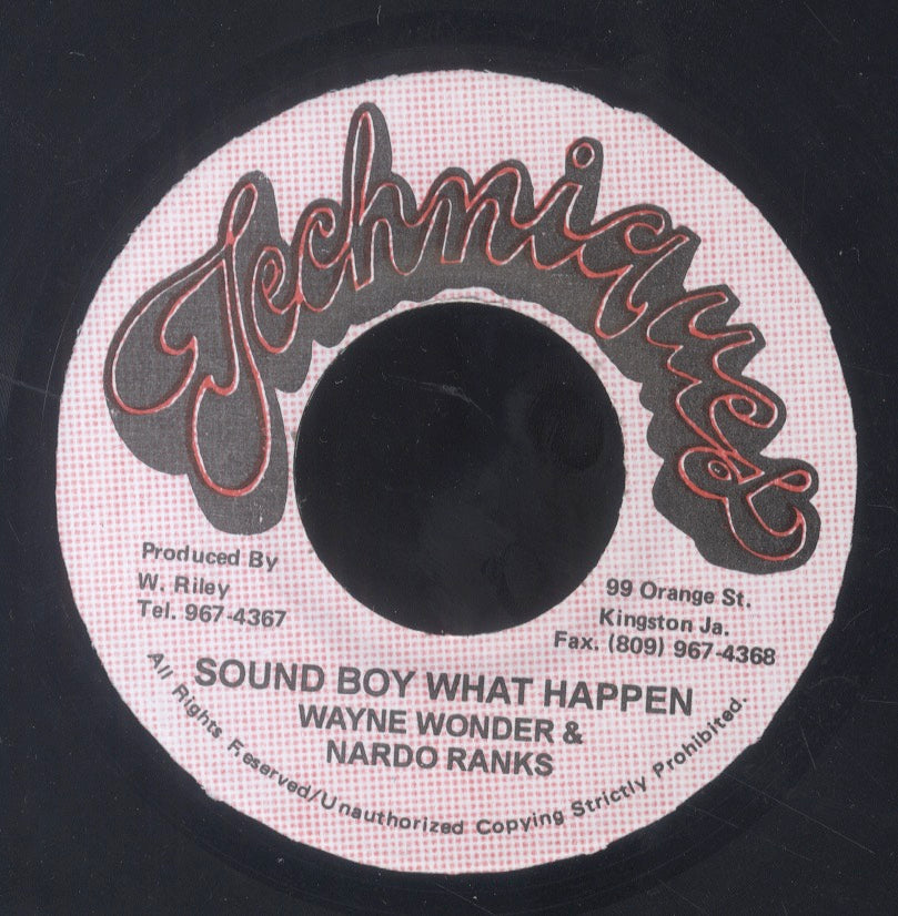 WAYNE WONDER & NARDO RANKIN [Sound Boy Wah Happen To You]