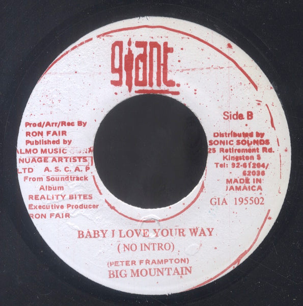 BIG MOUNTAIN [Baby I Love You Way ( Radio Version / No Intro )]