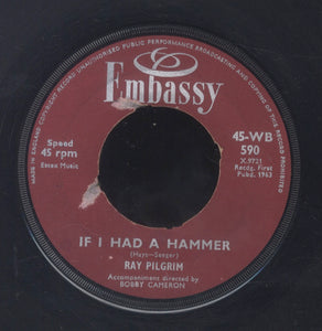 RAY PILGRIM [If I Had Hammer / Do You Love Me]
