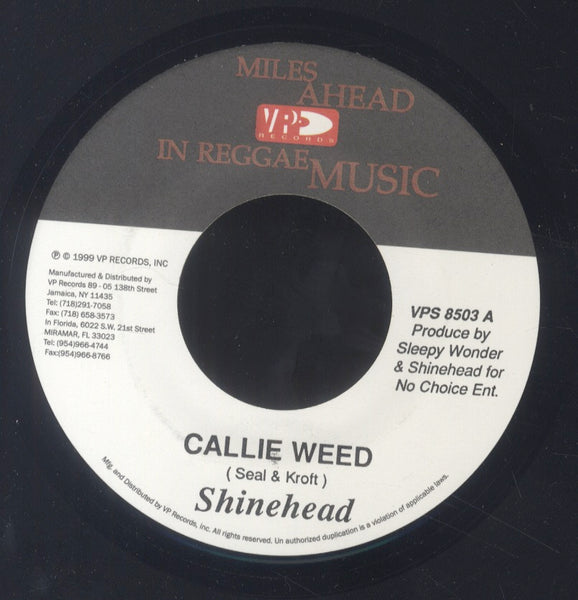 SHINEHEAD [Callie Weed/ Olivia]