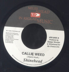 SHINEHEAD [Callie Weed/ Olivia]