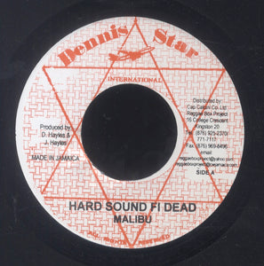 MALIBU / TEDDY IRIE [Hard Sound Fi Dead / Run Come Sound Bwoy]