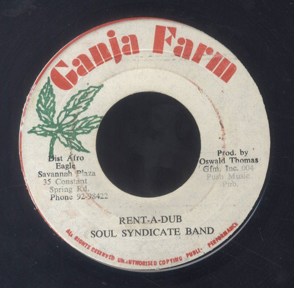 MICHAEL PALMER [Mr. Landlord]