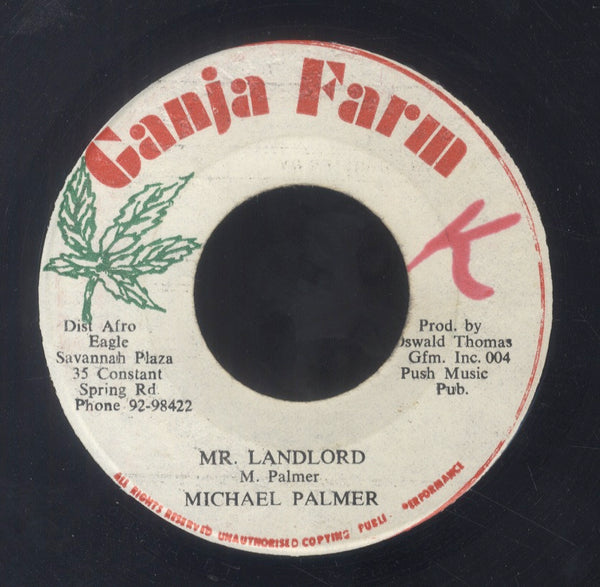 MICHAEL PALMER [Mr. Landlord]