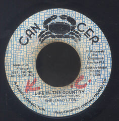 SHILA HYLTON [Life In The Country]