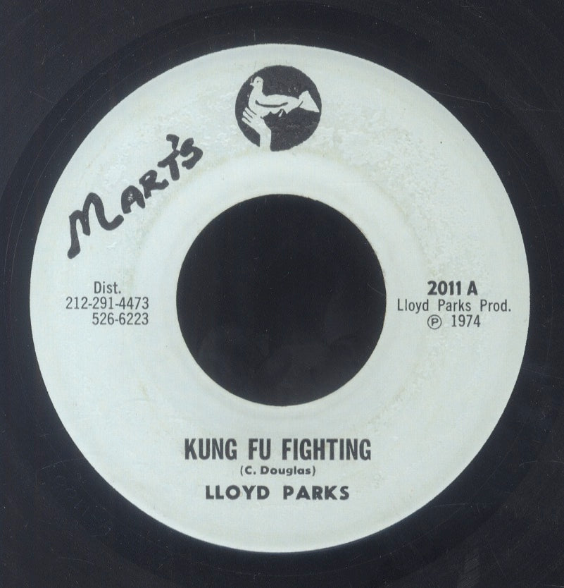 LLOYD PARKS [Kung Fu Fighting]